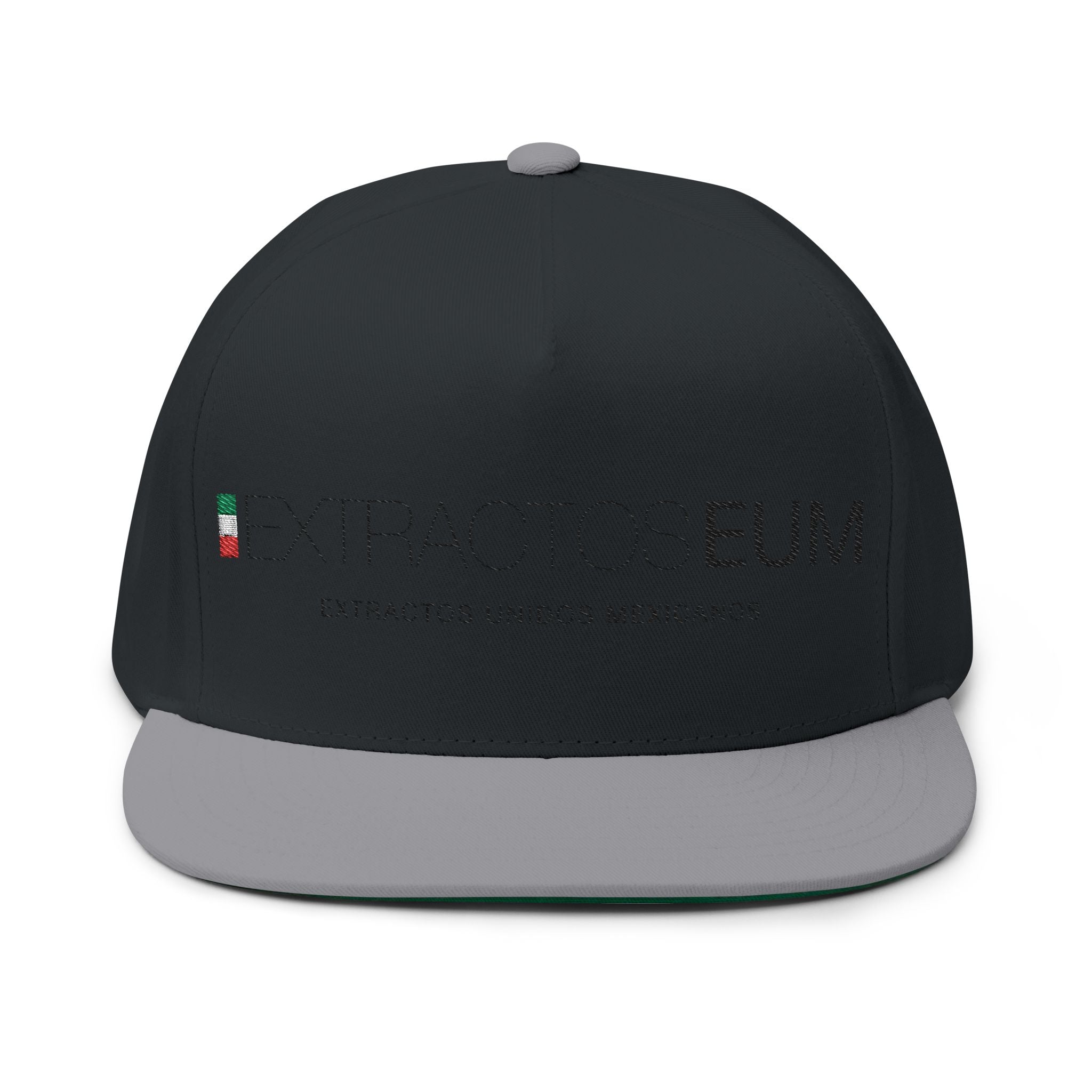 Gorra plana con visera bordada y elegante - Extractos EUM